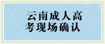 云南成人高考現(xiàn)場確認(rèn)