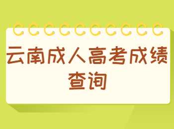 云南成人高考成績查詢