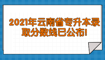 云南省專升本錄取分數線