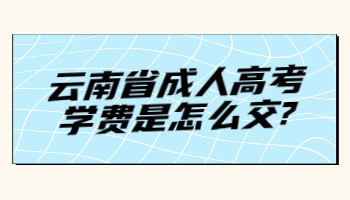 云南省成人高考學費