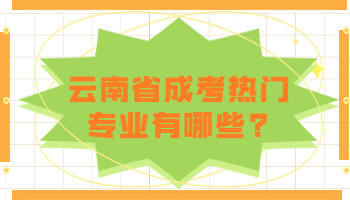 云南省成考熱門專業