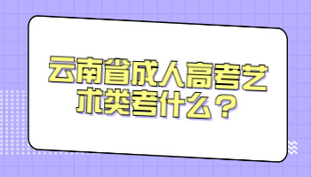 云南省成人高考藝術(shù)類考什么