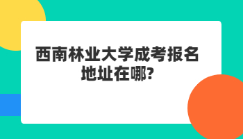 西南林業(yè)大學成考報名