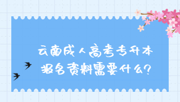云南成人高考專升本報名資料