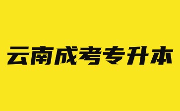 2024年云南成考專(zhuān)升本外省考生可以報(bào)名嗎？