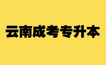 云南成人高考專升本錄取分數線是多少？