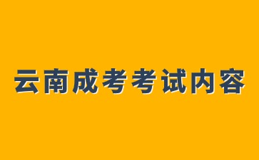2024年云南成人高考考試內(nèi)容說明