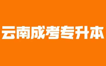 2024年云南省成人高考專升本有哪些優(yōu)勢?
