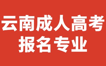 2024年云南成人高考報(bào)考專(zhuān)業(yè)推薦有哪些？