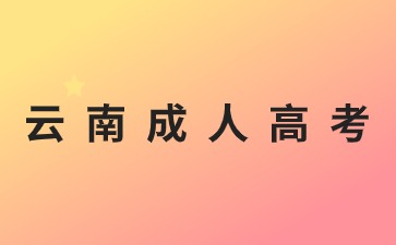 2024年云南成人高考熱門專業(yè)推薦！