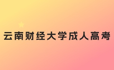 2024年云南財經大學成人高考錄取后可以換專業嗎？