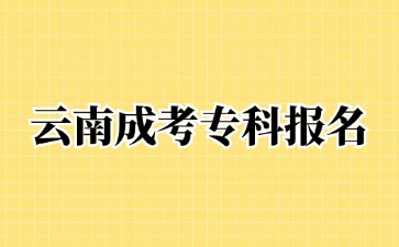 2024年云南成考專科可以報名哪些專業(yè)？